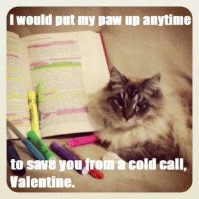 Cold-Call Chivalry
