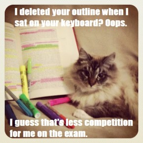 It's That Time in the Semester