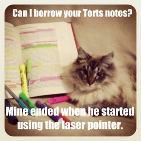 Can I Borrow Your Torts Notes?