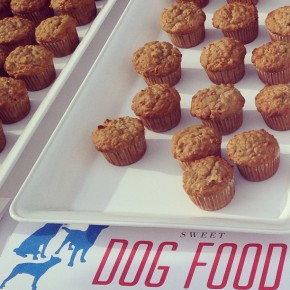 Dog Treats
