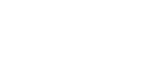 website-logo