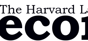 website-logo2