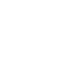 cropped-record-flag-6-3.png