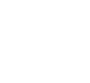 cropped-record-flag-6-4.png