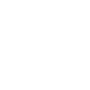 record flag