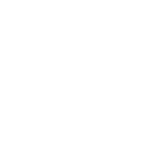 record-flag
