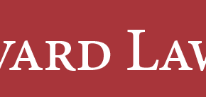 website-logo filled