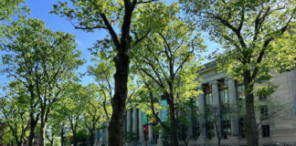 Photo of a classical-style building with trees in the foreground.