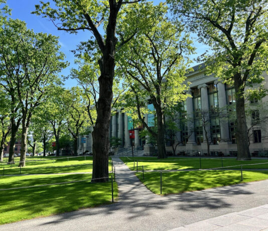 Photo of a classical-style building with trees in the foreground.