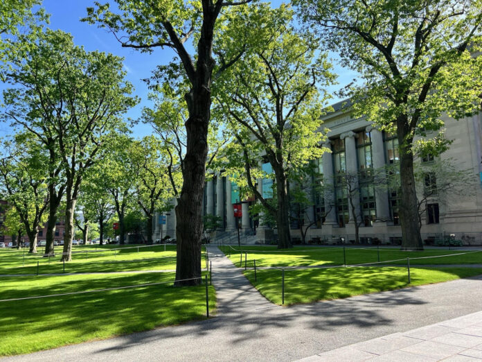 Photo of a classical-style building with trees in the foreground.
