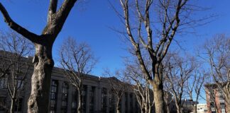 A picture of Langdell Library and the quad in December.
